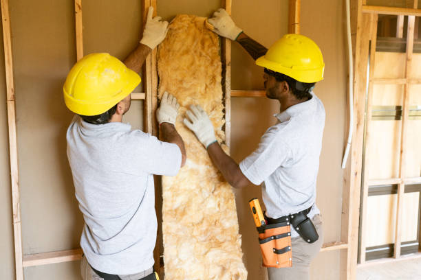 Best Insulation Replacement  in Reedsville, WI